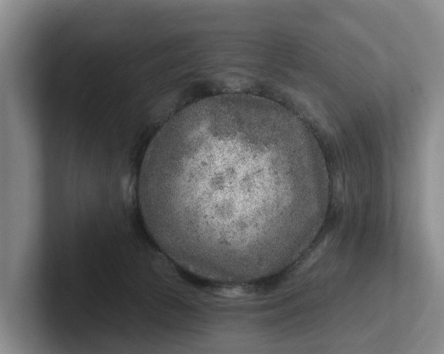 X0000102280177200808081510