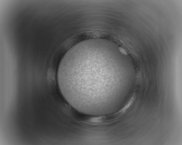 X0000102280178200808081510