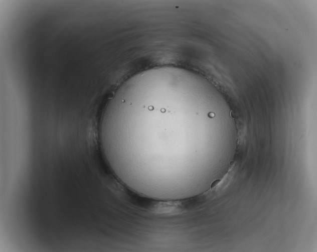 X0000102280179200808081510