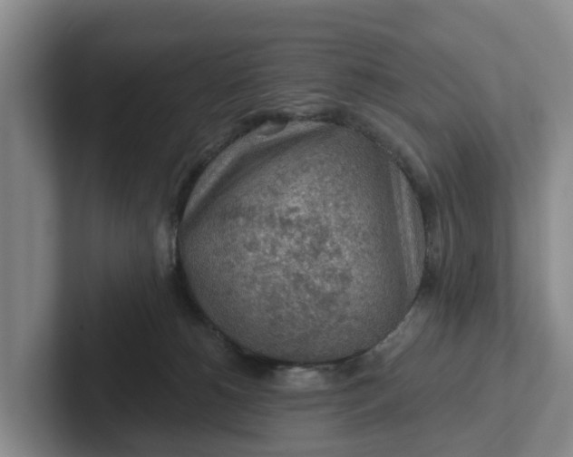 X0000102280180200808081510