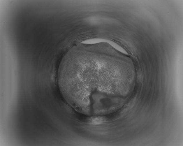 X0000102280181200808081510