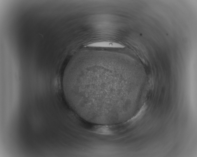 X0000102280182200808081510