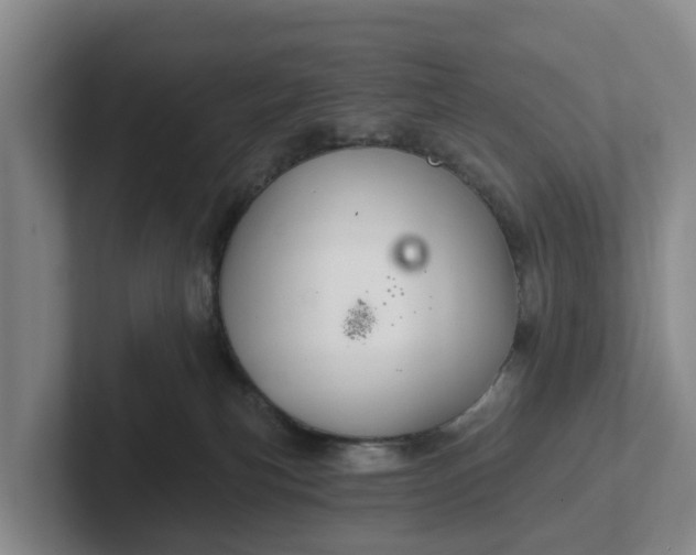 X0000102280183200808081510