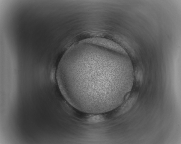 X0000102280185200808081510