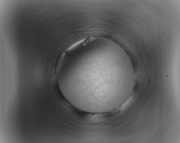 X0000102280186200808081510