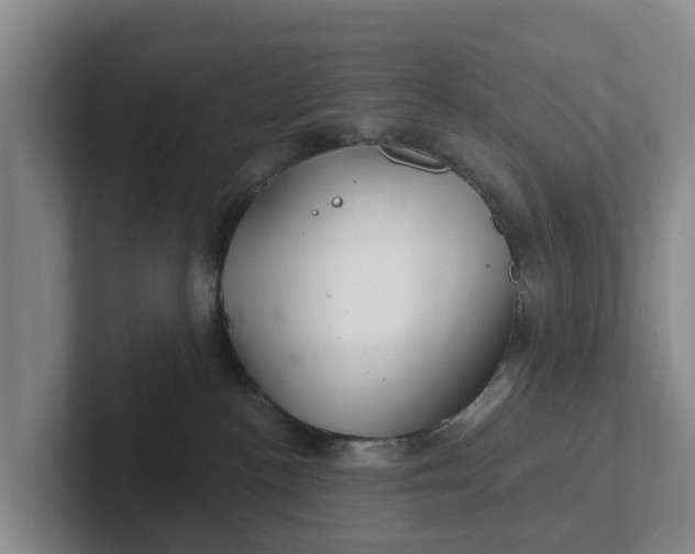 X0000102280188200808081510