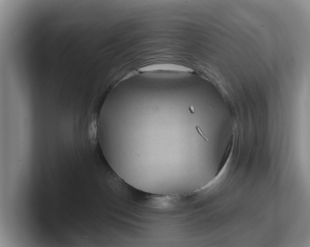 X0000102280190200808081510