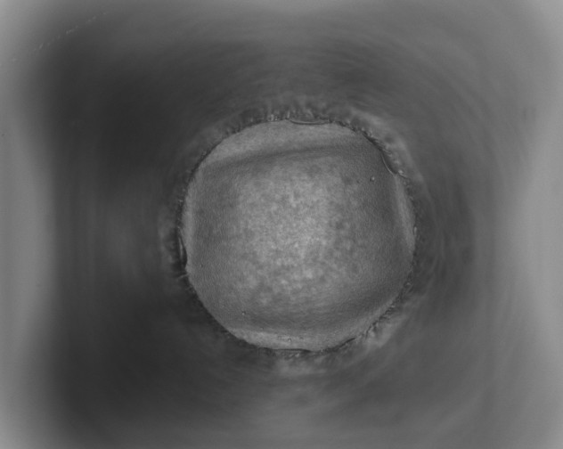 X0000102280192200808081510