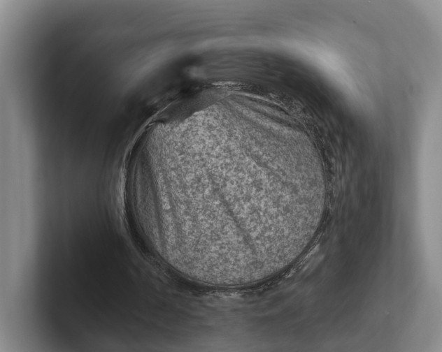 X0000102280194200808081509