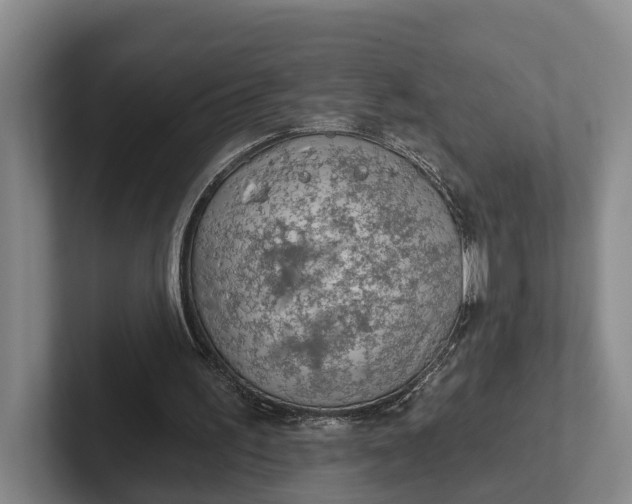 X0000102280195200808081509