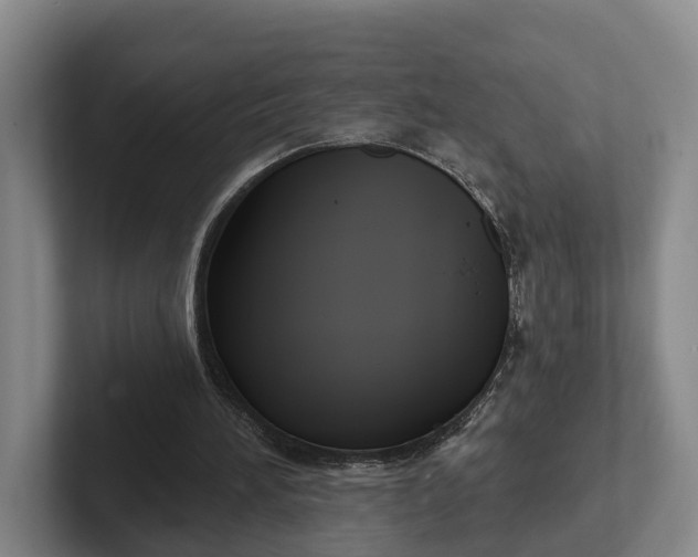 X0000102280196200808081509