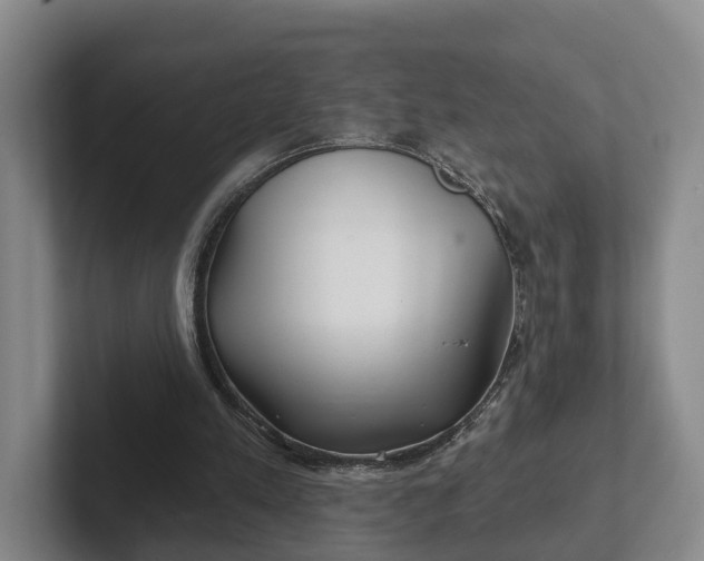 X0000102280197200808081509