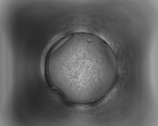 X0000102280199200808081509