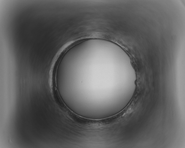 X0000102280200200808081509