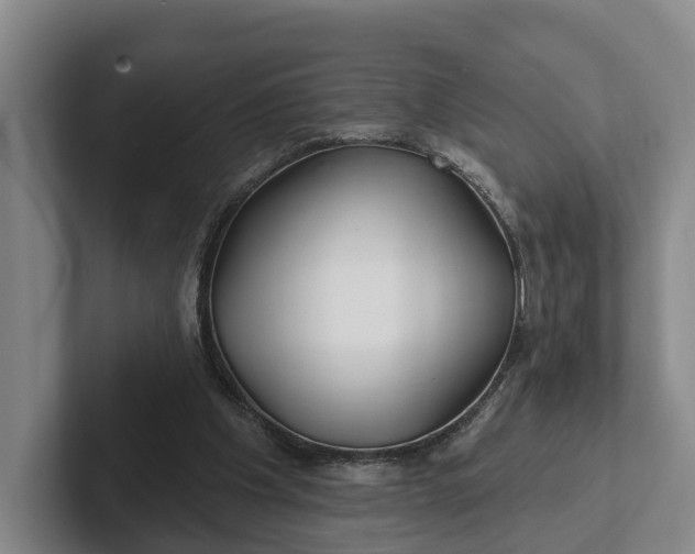 X0000102280201200808081509