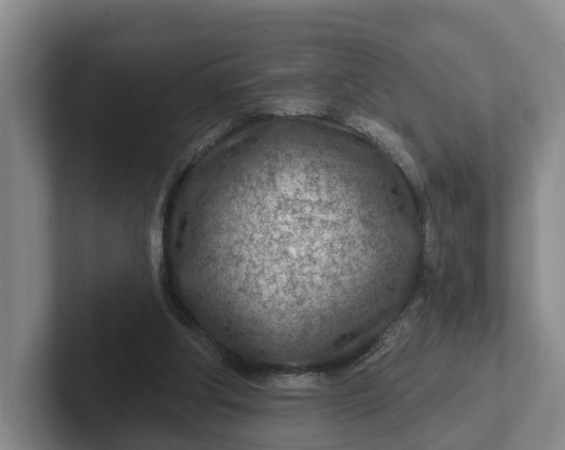 X0000102280202200808081509