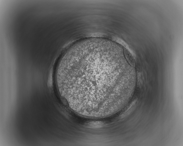 X0000102280203200808081509