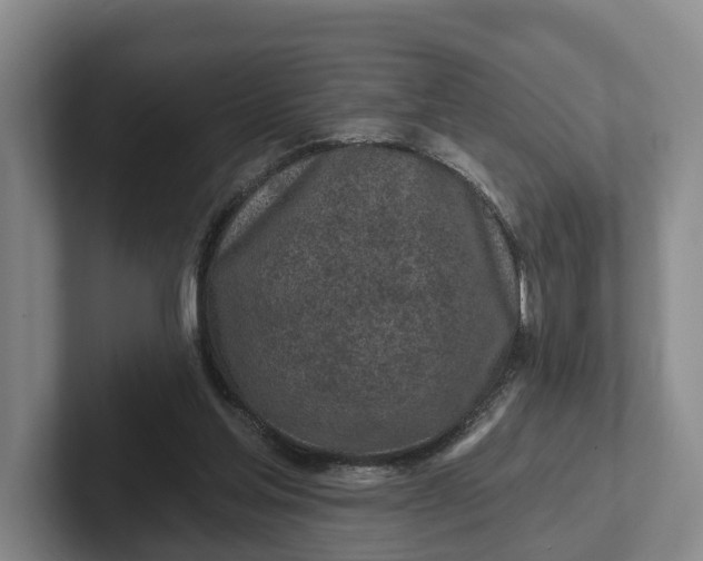 X0000102280205200808081509