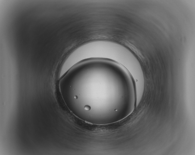 X0000102280207200808081509