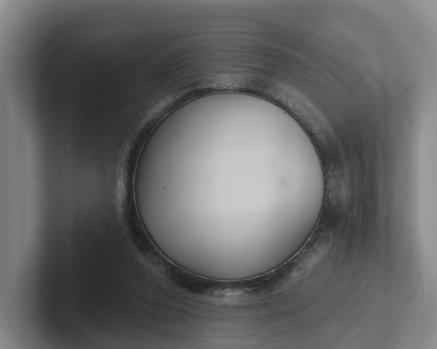 X0000102280208200808081509