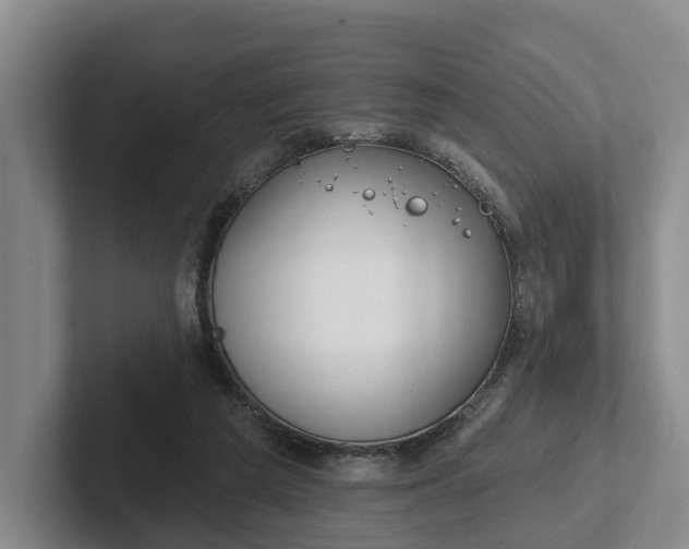 X0000102280209200808081509