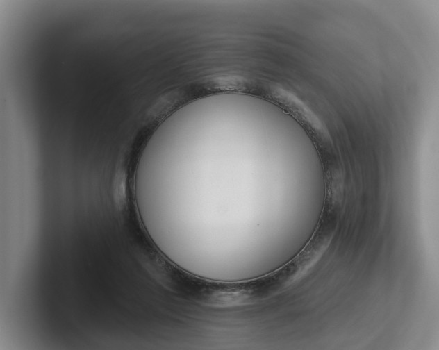 X0000102280213200808081509