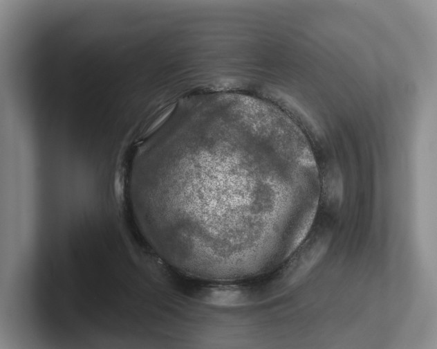 X0000102280214200808081509