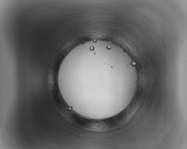 X0000102280215200808081509