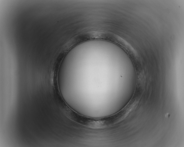 X0000102280217200808081509