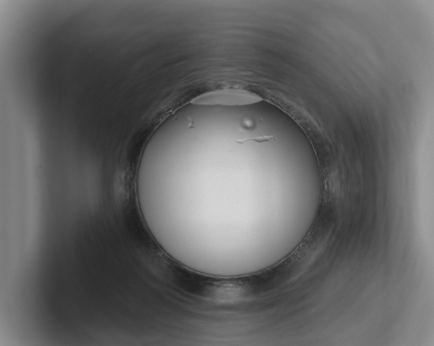 X0000102280218200808081509