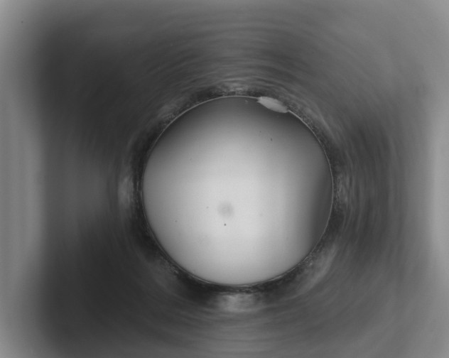 X0000102280220200808081509