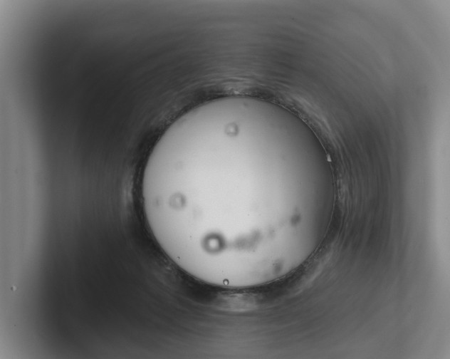 X0000102280221200808081509