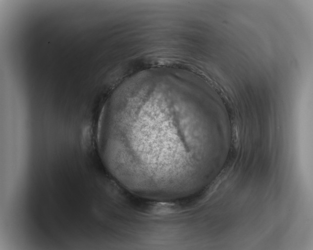 X0000102280222200808081509