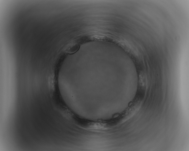 X0000102280223200808081509