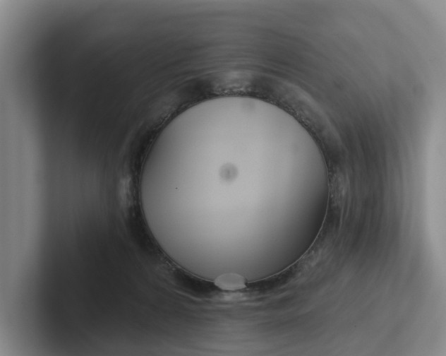 X0000102280224200808081509