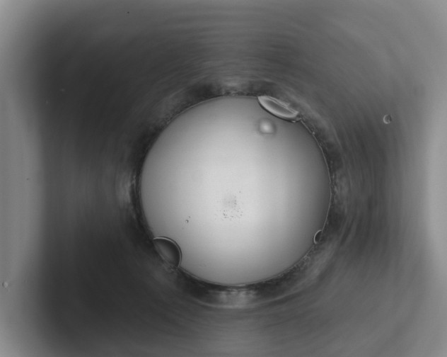 X0000102280225200808081509