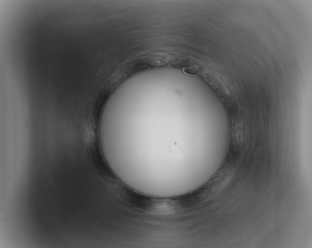 X0000102280226200808081509