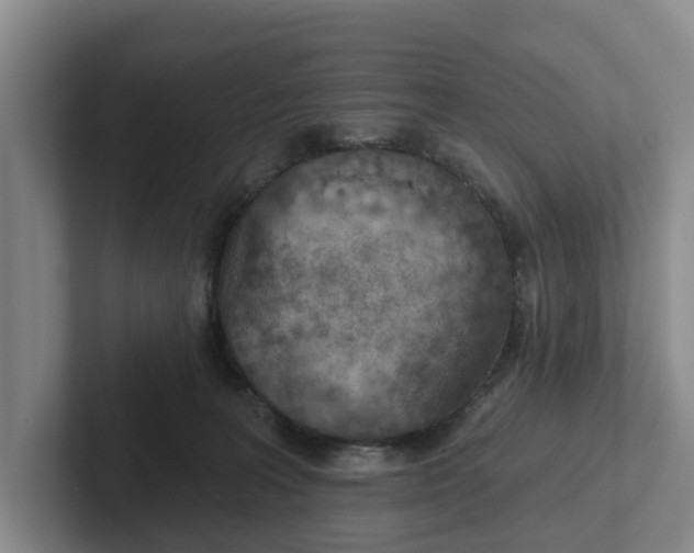 X0000102280227200808081509