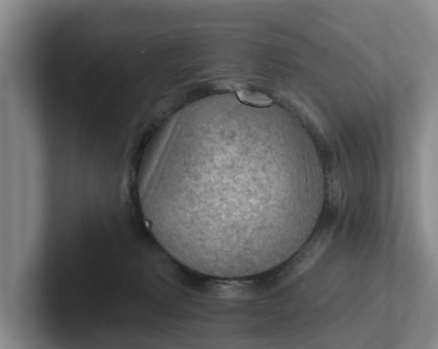 X0000102280229200808081509