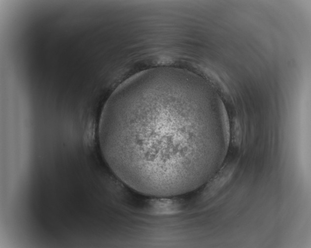 X0000102280230200808081509