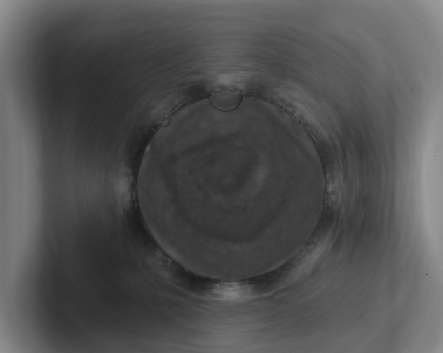 X0000102280231200808081509