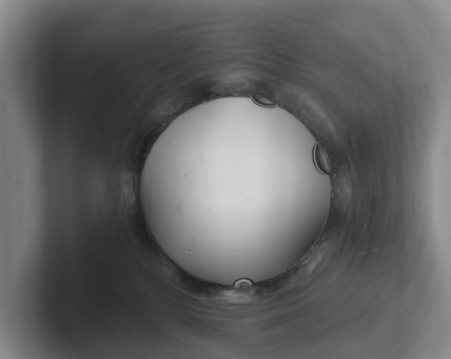 X0000102280232200808081509