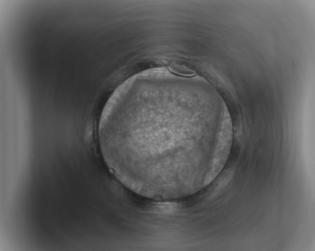 X0000102280233200808081509