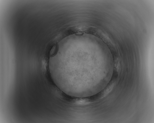 X0000102280235200808081509