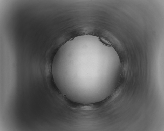 X0000102280236200808081509