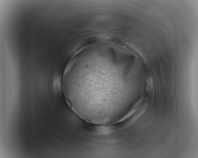 X0000102280238200808081508