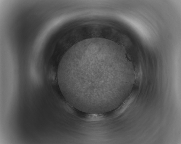 X0000102280239200808081508