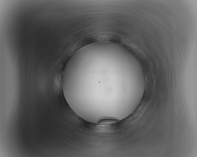 X0000102280240200808081508