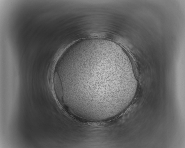 X0000102280241200808081508