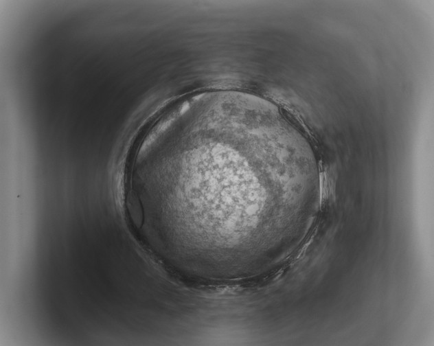 X0000102280243200808081508